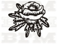 /album/kvety-stromy/kvety-14-jpg/